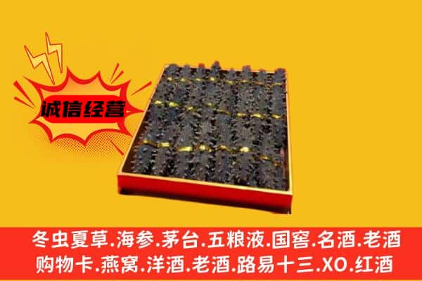 宜兰县回收海参